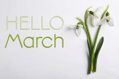 Image of Hello March card. Beautiful spring snowdrop flowers on white background, top view