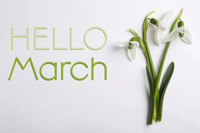 Hello March card. Beautiful spring snowdrop flowers on white background, top view