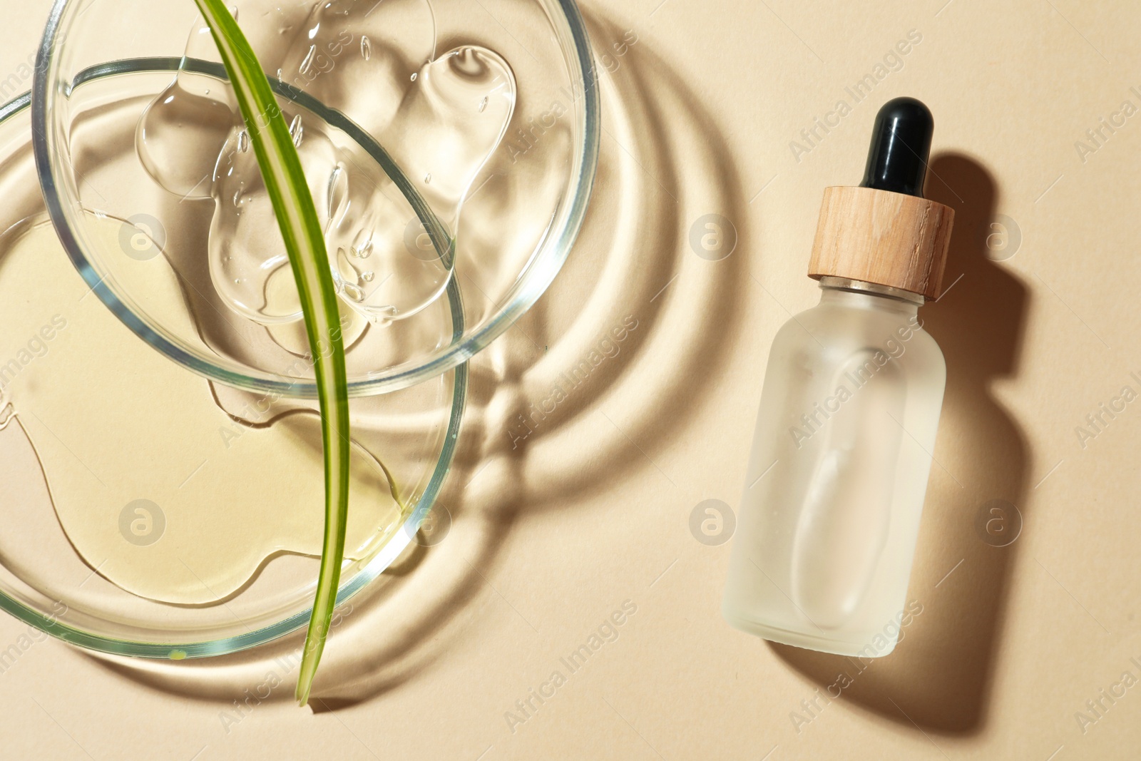 Photo of Petri dishes with cosmetic products and leaf on beige background, flat lay