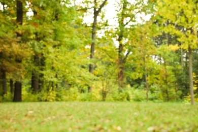 Photo of Blurred view of beautiful park with trees on autumn day