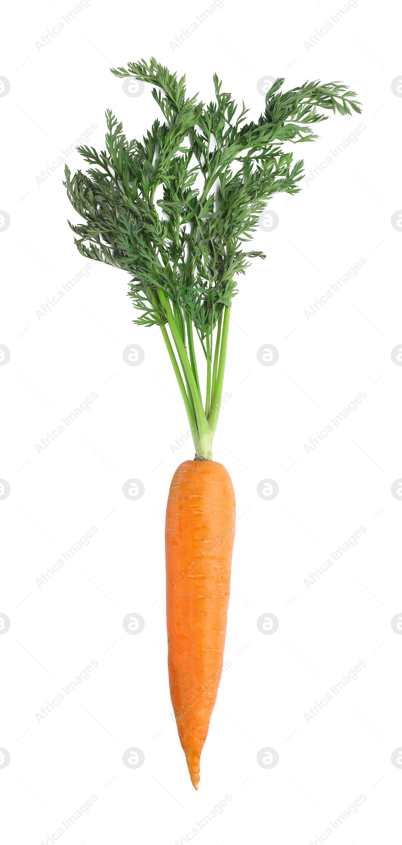 Photo of Tasty ripe organic carrot isolated on white