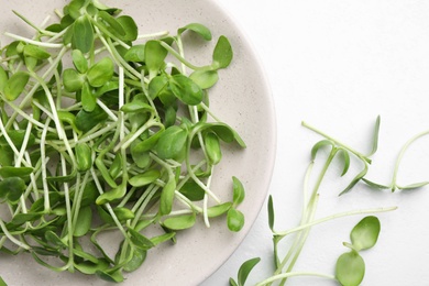 Plate with fresh microgreen on white table, flat lay