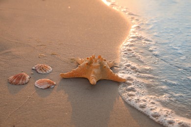 Photo of Wave rolling onto sandy beach with beautiful sea star and shells at sunset