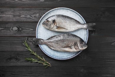 Photo of Fresh raw dorado fish and rosemary on black wooden table, top view