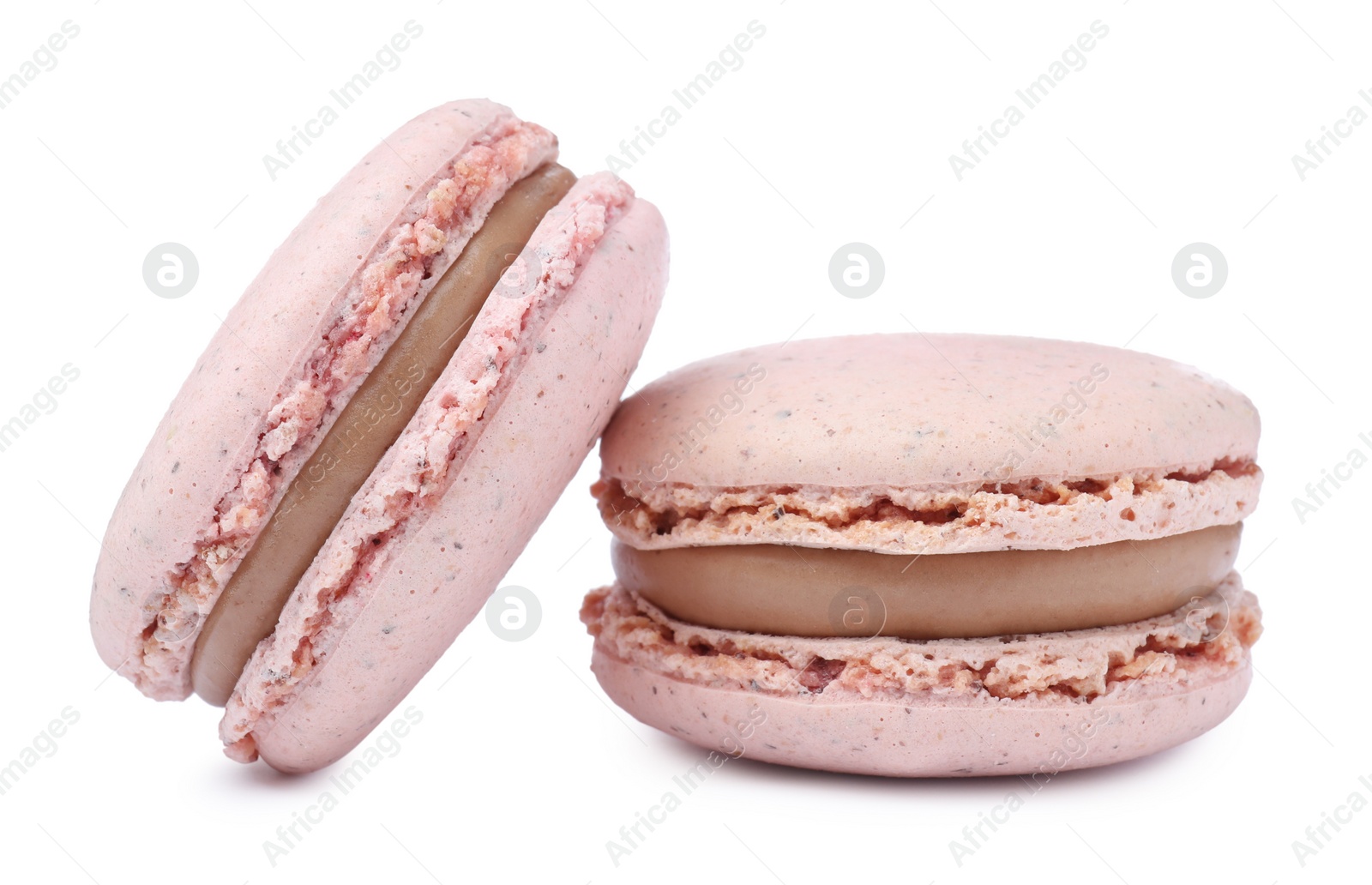 Photo of Pink macarons on white background. Delicious dessert