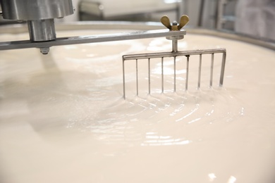 Milk in curd preparation tank at cheese factory, closeup