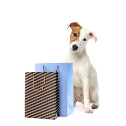 Image of Cute Jack Russel Terrier and colorful paper shopping bags on white background