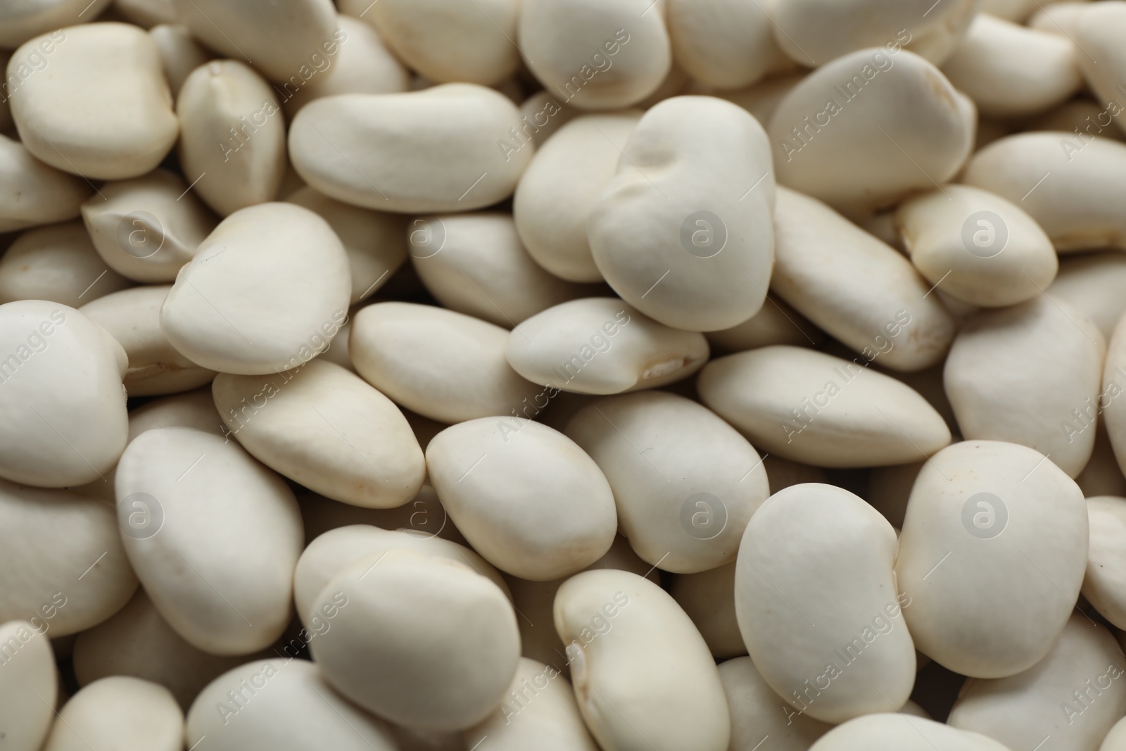 Photo of Pile of uncooked white beans as background, closeup