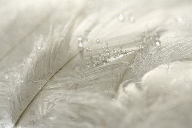 Photo of Many fluffy white feathers with water drops as background, closeup