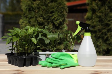 Seedlings growing in plastic containers with soil, rubber gloves and spray bottle on wooden table outdoors
