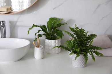 Beautiful green ferns, towels and toothbrushes on countertop in bathroom