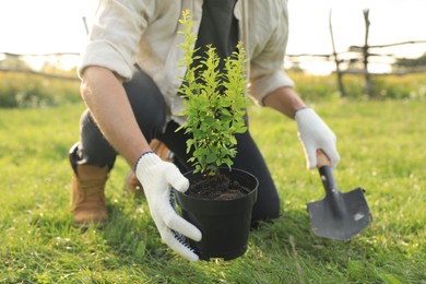 Man planting tree in countryside on sunny day, closeup