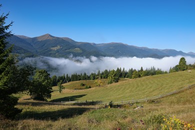 White fog over forest in mountains during morning