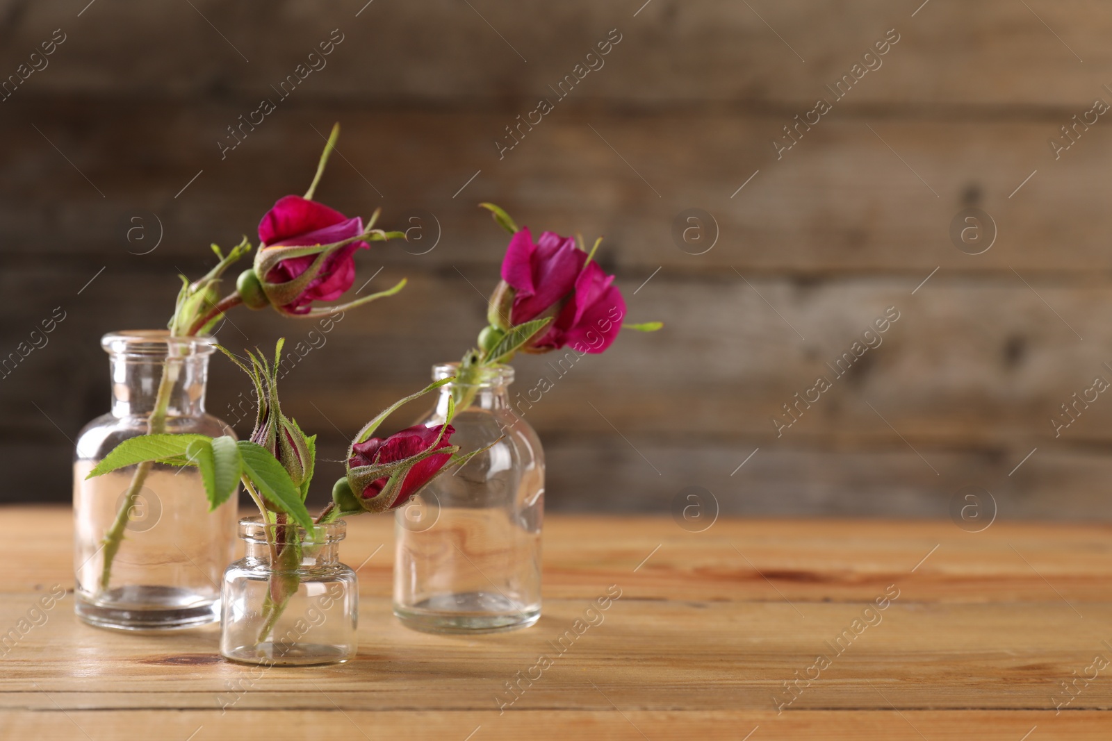 Photo of Beautiful roses in glass bottles on wooden table, space for text