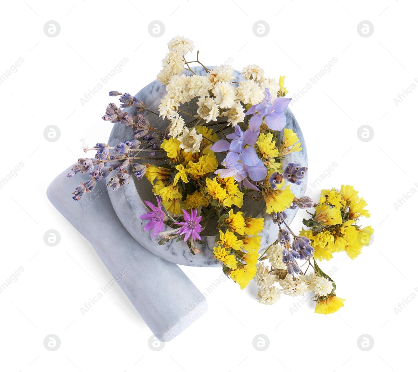 Photo of Marble mortar with different flowers and pestle on white background, top view