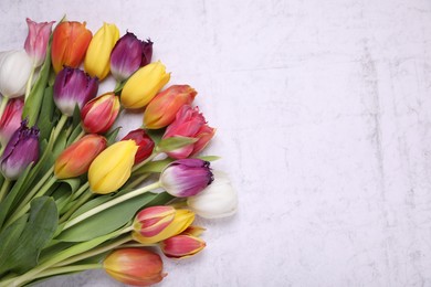 Photo of Beautiful colorful tulip flowers on white stone background, flat lay. Space for text