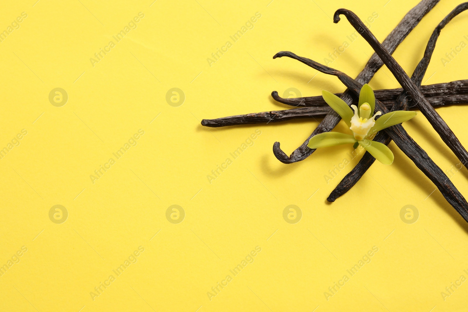 Photo of Vanilla pods and beautiful flower on yellow background, top view. Space for text