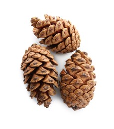 Photo of Beautiful pine cones on white background, top view