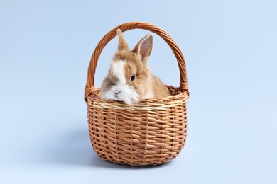 Photo of Cute little rabbit in wicker basket on light blue background