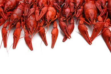 Photo of Delicious red boiled crayfish on white background