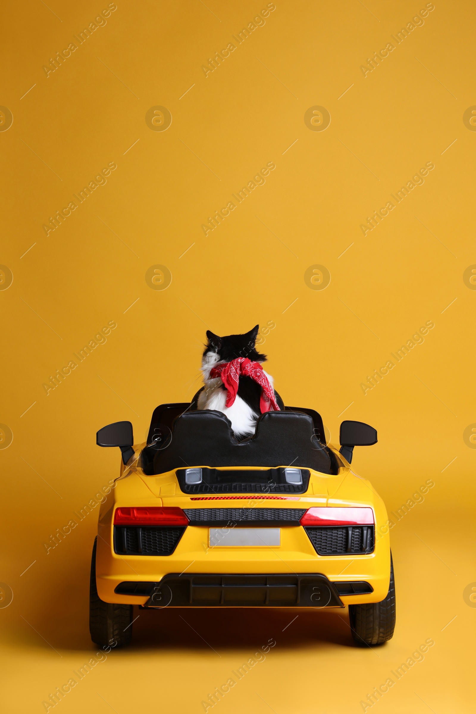 Photo of Adorable cat in toy car on yellow background, back view