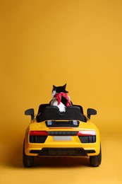 Photo of Adorable cat in toy car on yellow background, back view