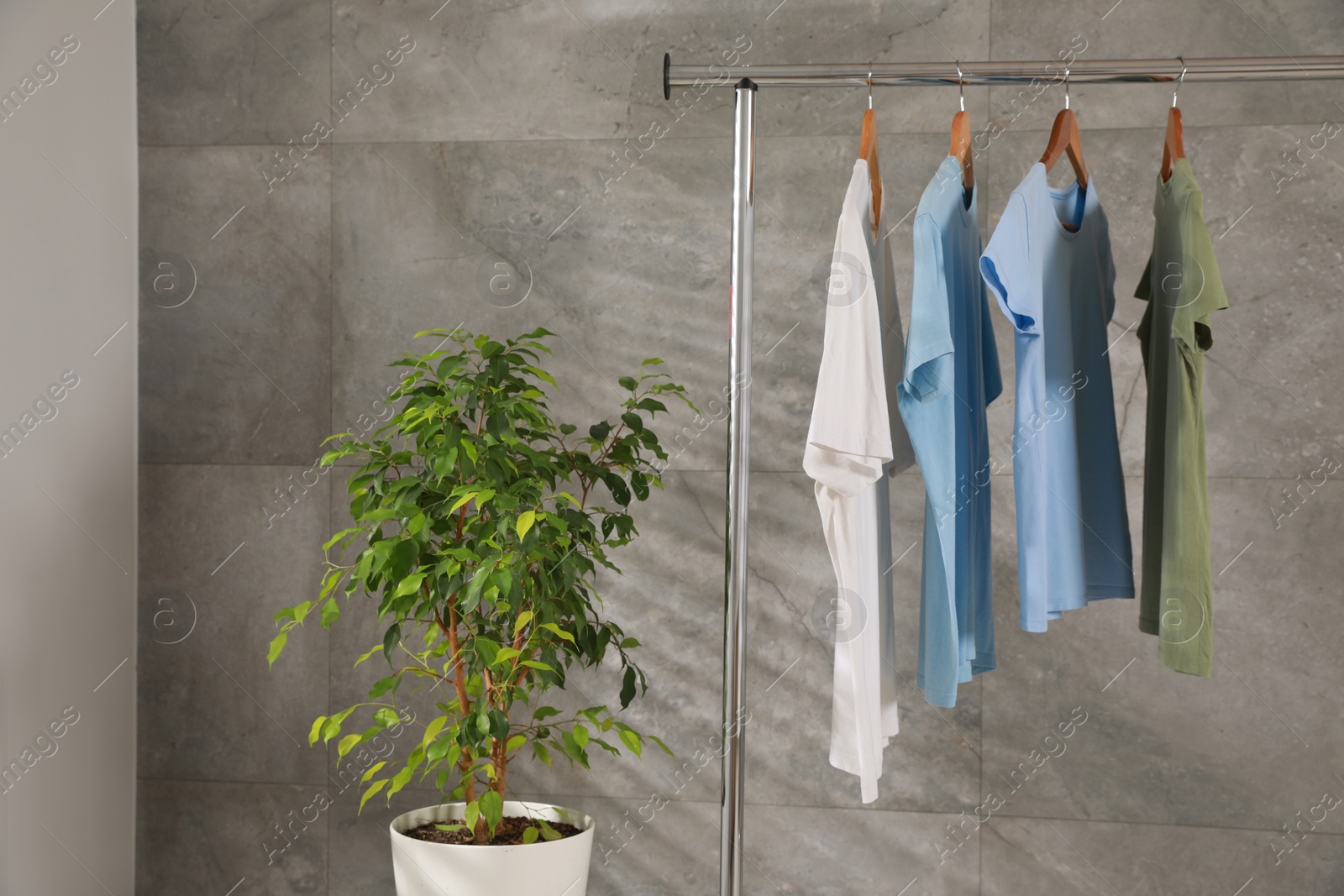 Photo of Clean T-shirts hanging on rack and houseplant near gray marble wall