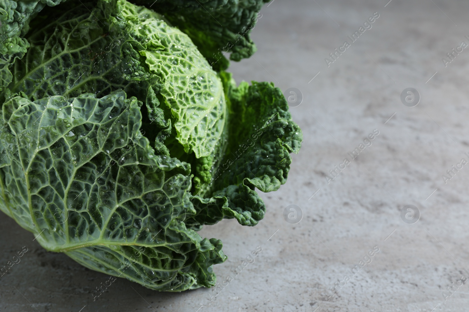 Photo of Fresh ripe savoy cabbage with water drops on grey table, closeup. Space for text