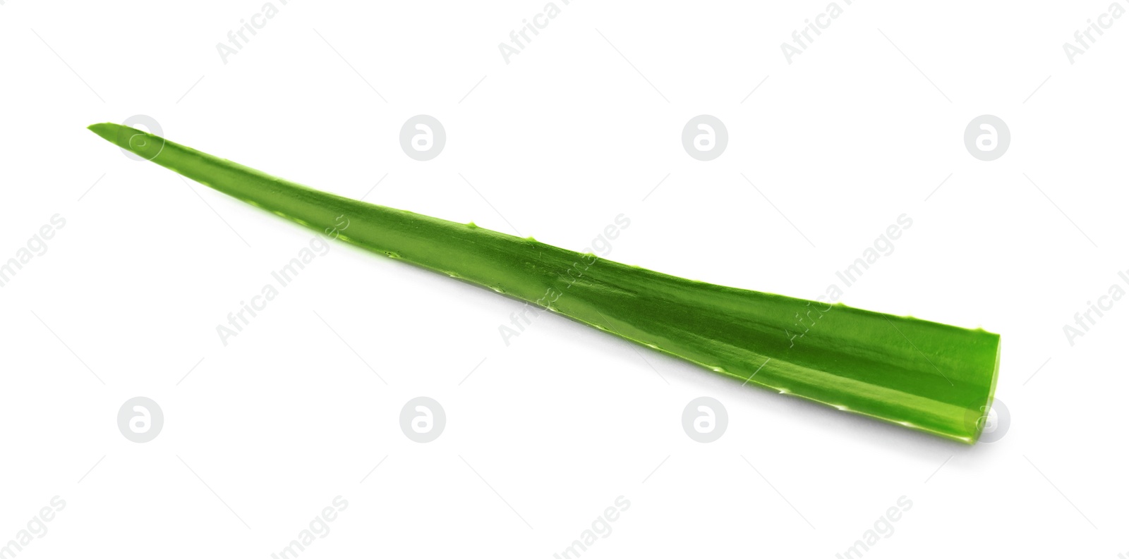 Photo of Aloe vera leaf on white background