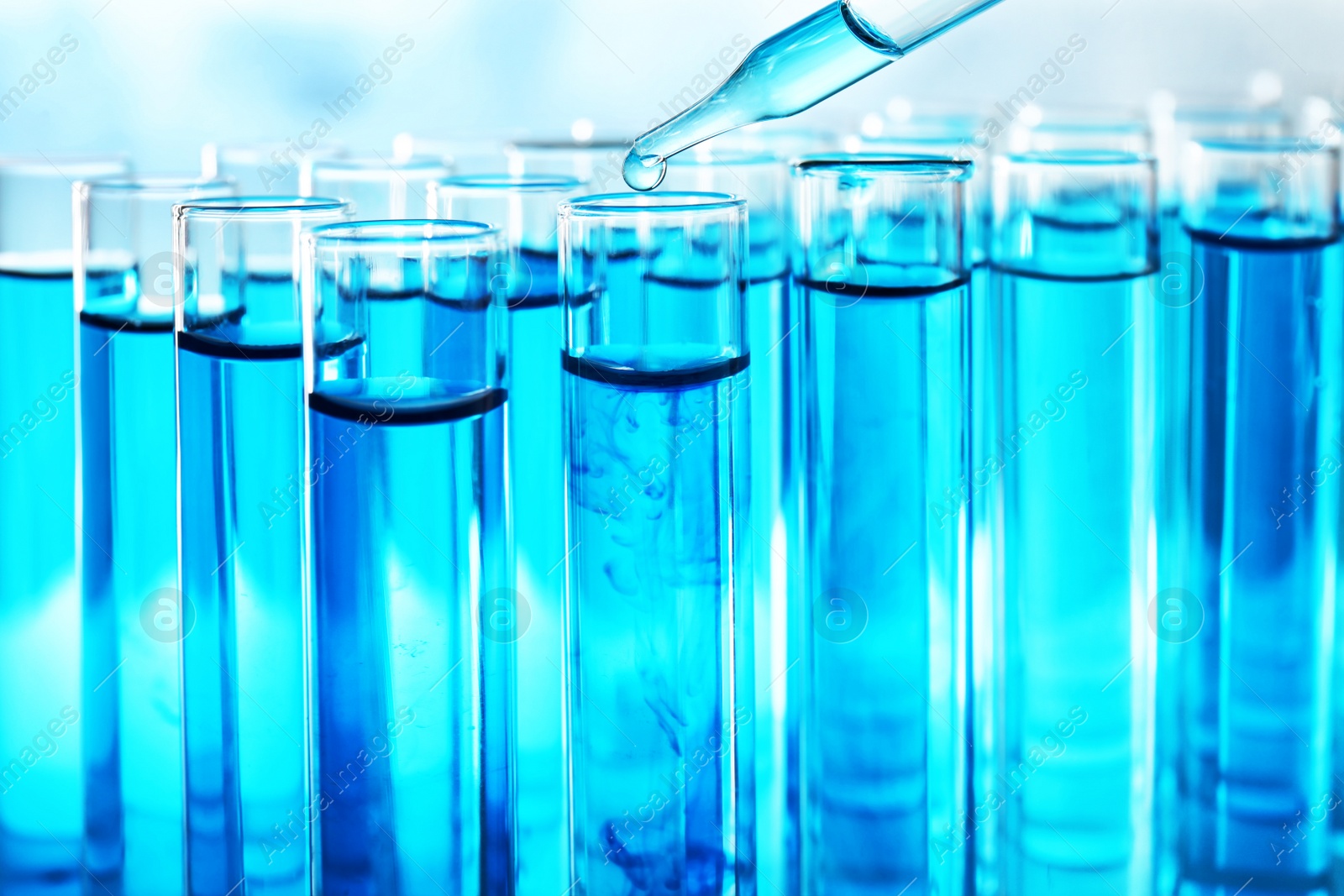 Photo of Dropping sample into test tube with blue liquid, closeup