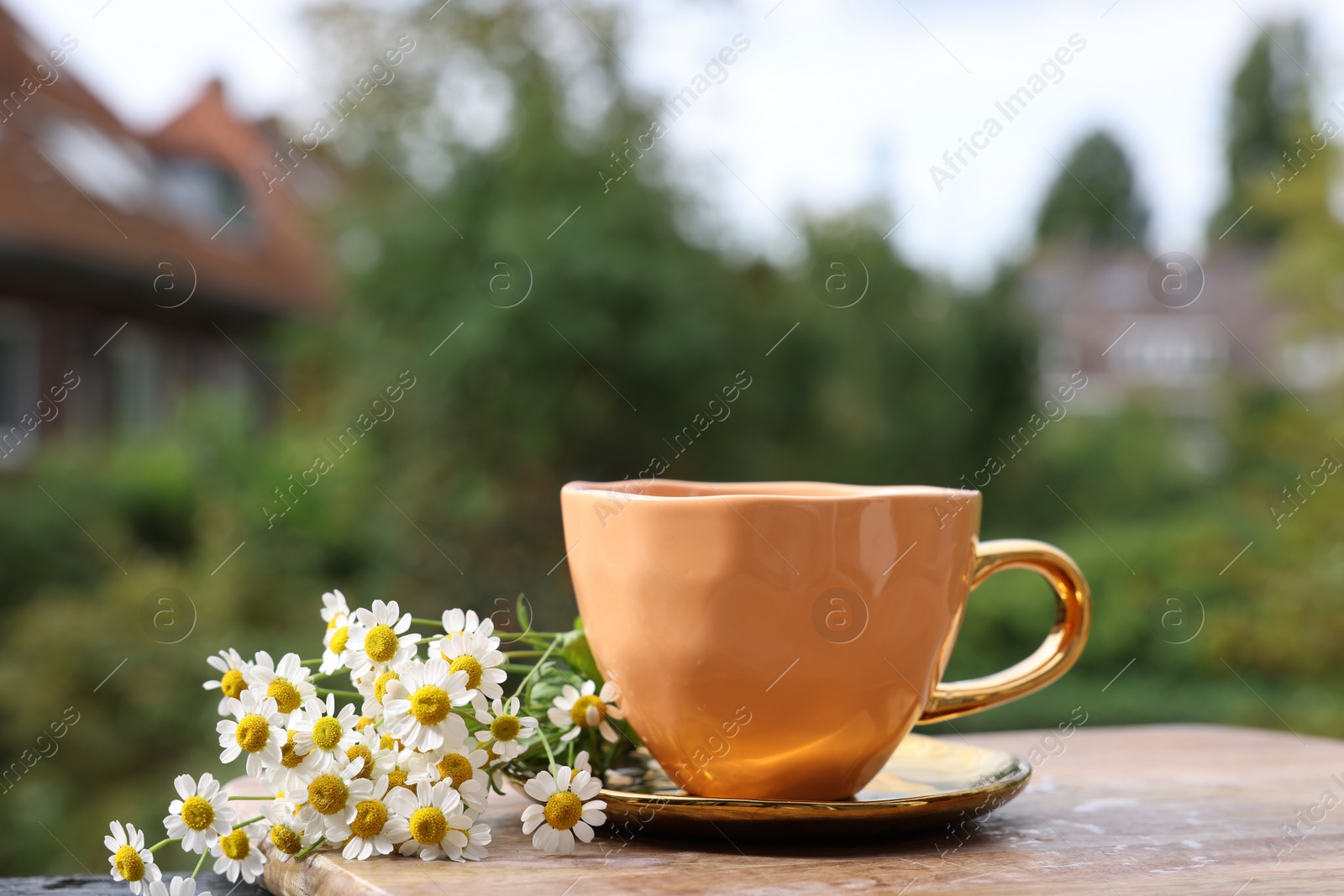 Photo of Cup of delicious chamomile tea and fresh flowers outdoors