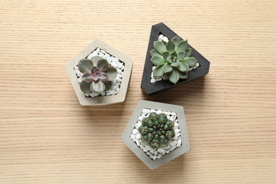 Beautiful succulent plants in stylish flowerpots on wooden background, flat lay. Home decor