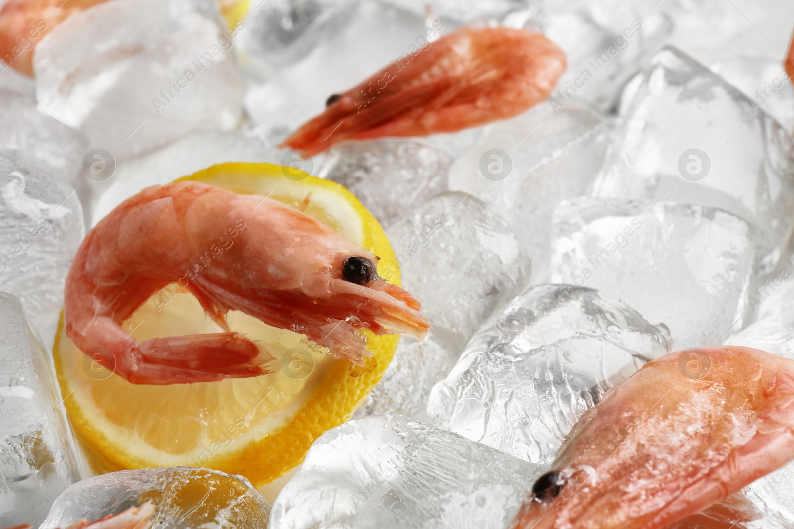 Photo of Fresh shrimps and lemon slice on ice cubes