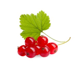 Photo of Bunch of fresh ripe red currant berries and green leaf isolated on white