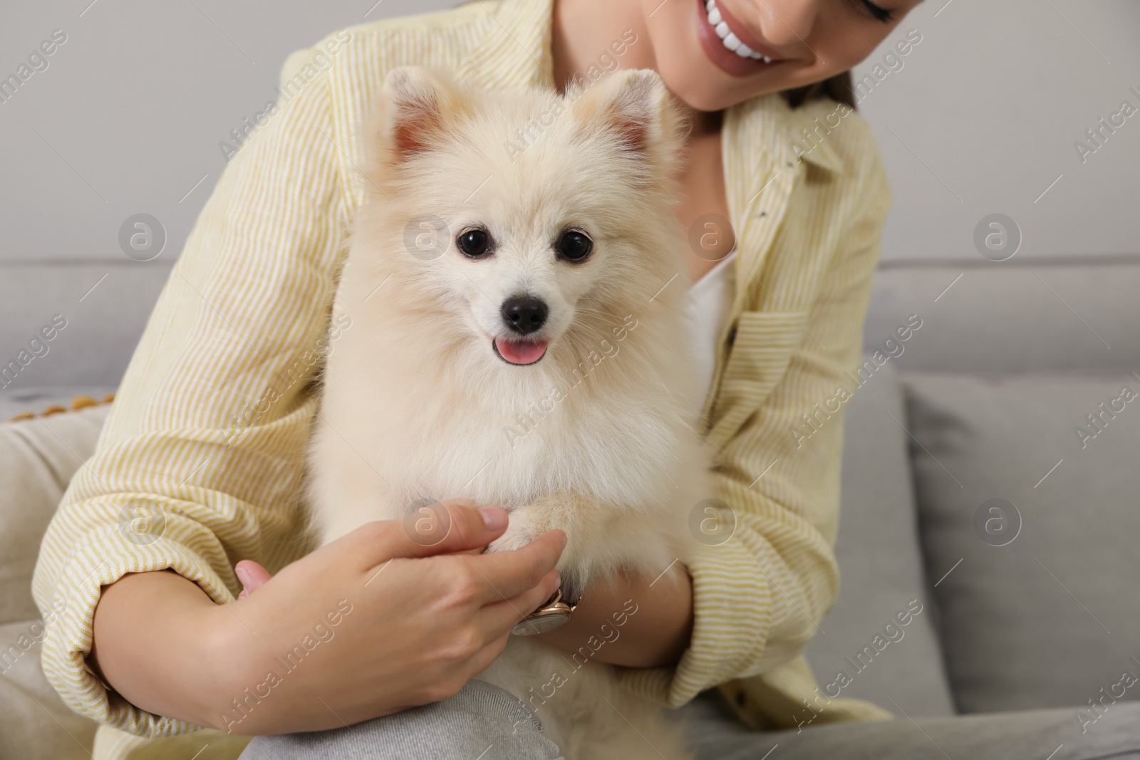 Photo of Happy young woman with cute dog on sofa in living room, closeup