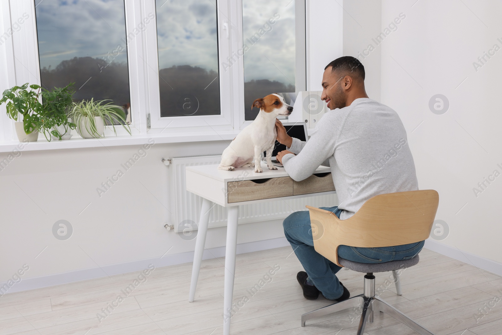 Photo of Young man with Jack Russell Terrier at desk in home office