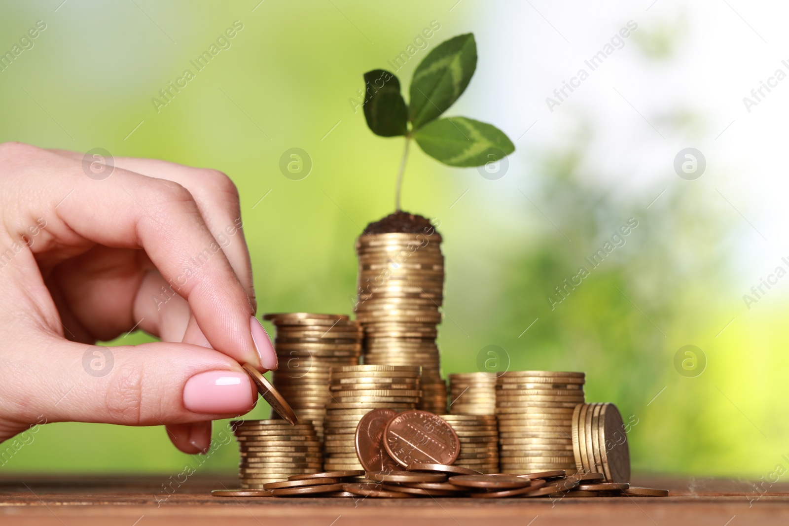 Photo of Woman putting coin onto stack with green sprout at wooden table against blurred background, closeup. Investment concept