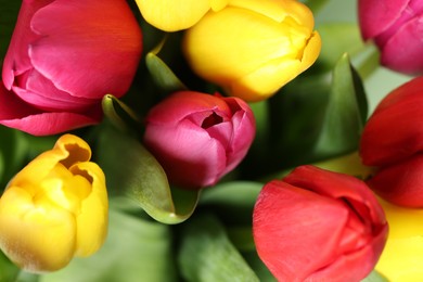 Photo of Beautiful colorful tulip flowers as background, closeup