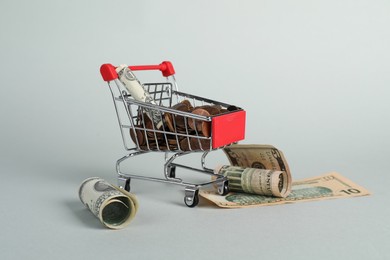 Photo of Small metal shopping cart with money on light background