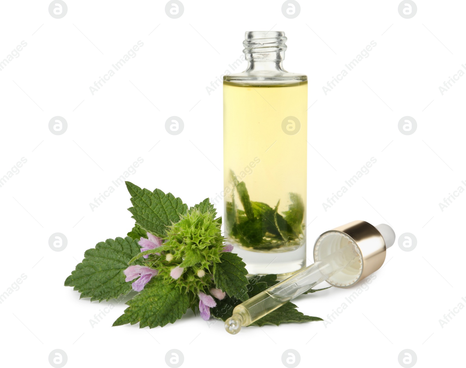 Photo of Glass bottle of nettle oil with dropper and leaves isolated on white