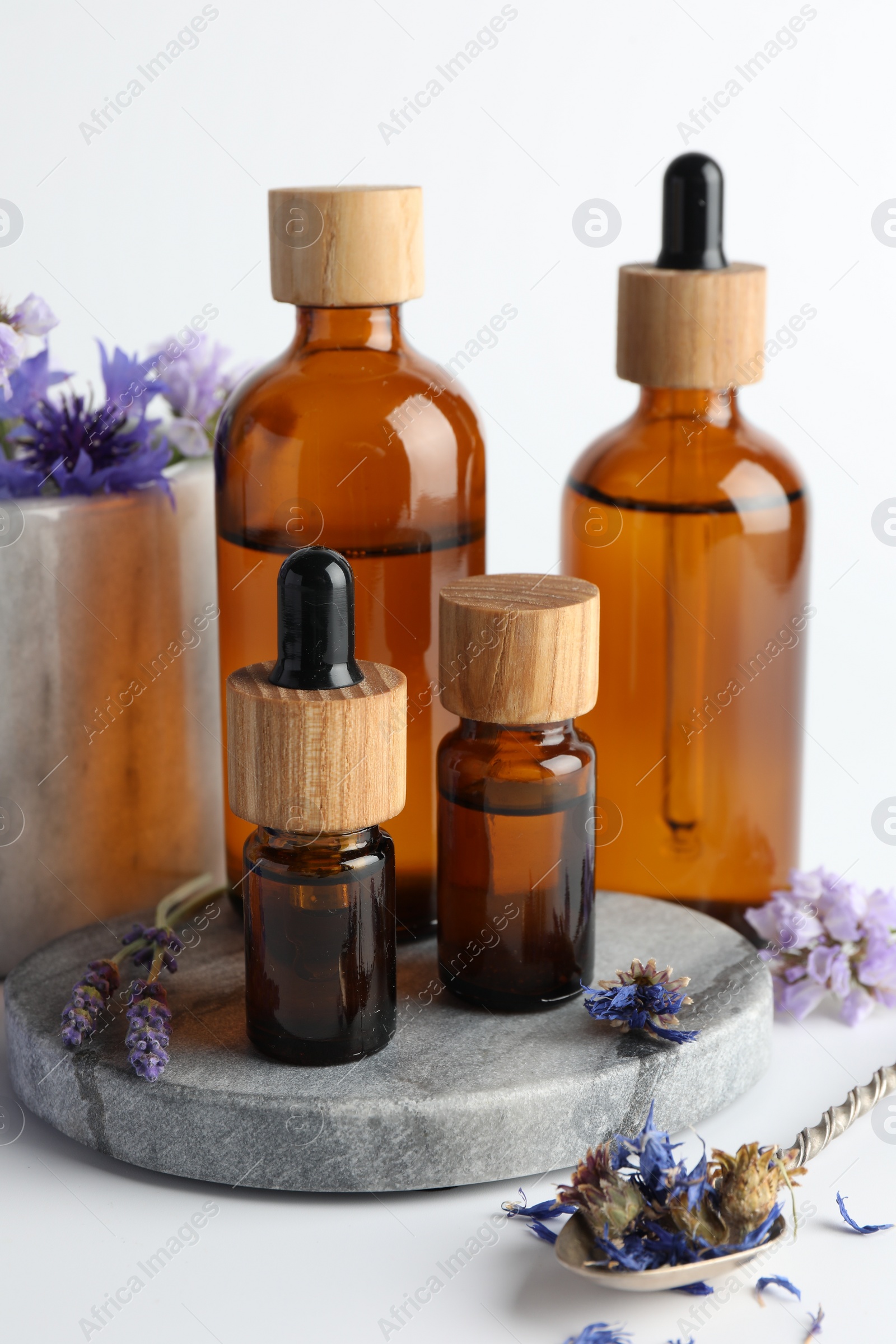 Photo of Aromatherapy. Different essential oils and flowers on white background