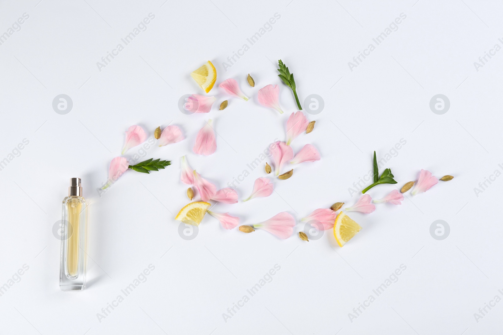 Photo of Flat lay composition with bottle of perfume on white background