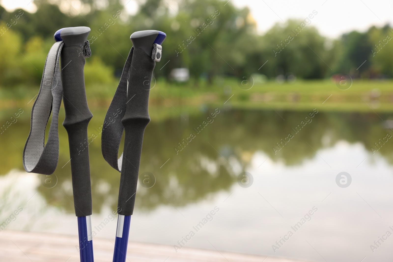 Photo of Two Nordic walking poles outdoors, closeup. Space for text