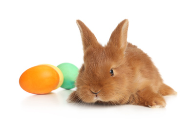 Adorable fluffy bunny near Easter eggs on white background