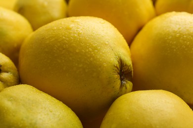 Photo of Delicious ripe quinces with water drops as background, closeup