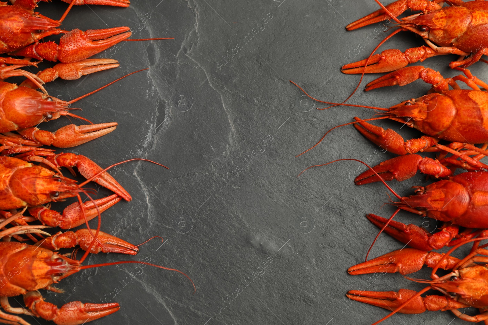 Photo of Delicious boiled crayfishes on black table, flat lay. Space for text