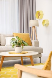 Photo of Spring atmosphere. Cosy furniture and potted plant in stylish room