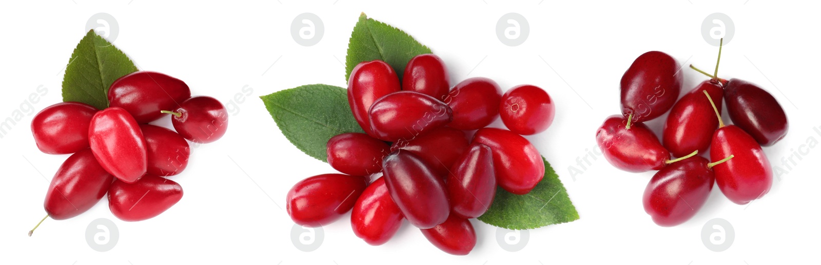 Image of Set of ripe red dogwood berries on white background, top view. Banner design