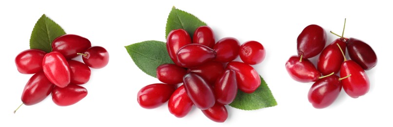 Set of ripe red dogwood berries on white background, top view. Banner design