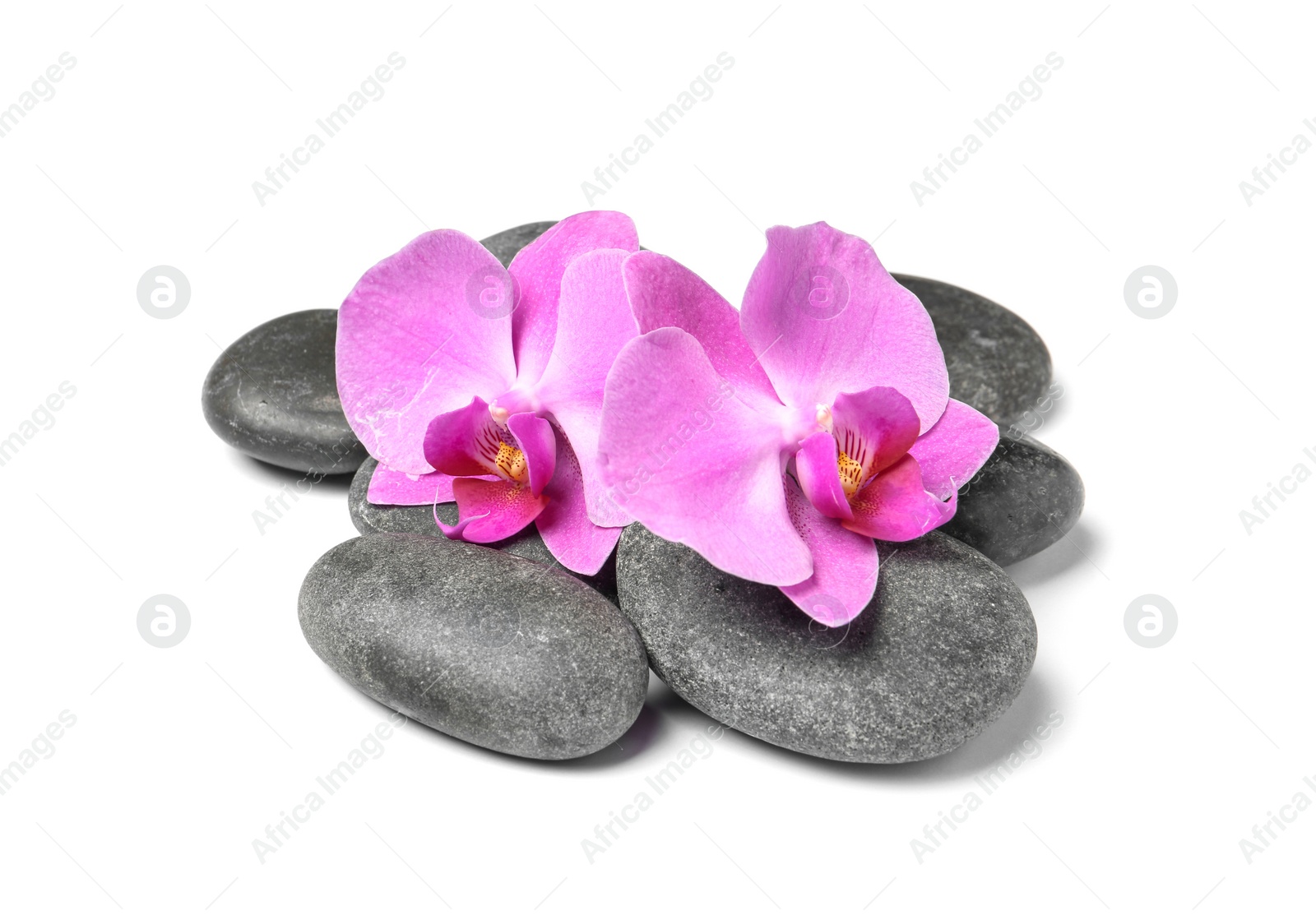 Photo of Spa stones with orchid flowers on white background